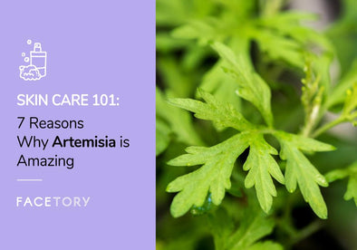 7 Reasons Why Artemisia is Amazing!