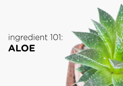 Ingredient 101: Aloe
