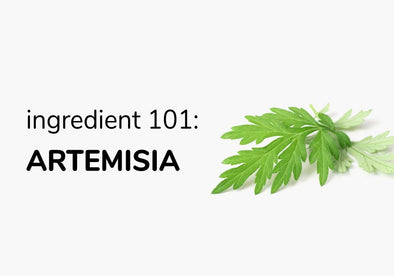 Ingredient 101: Artemisia