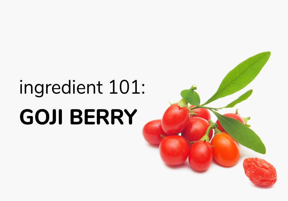 Ingredient 101 Goji Berry