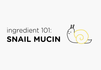 Ingredient 101: Snail Mucin