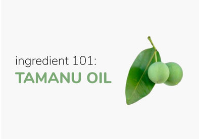 Ingredient 101: Tamanu Oil